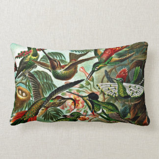 Coussin Rectangle Trochilidae