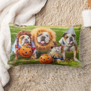 Coussin Rectangle Trois Bulldogs en costumes