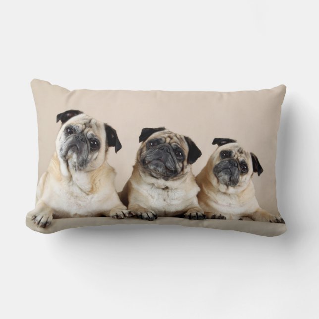 Coussin Rectangle Trois Carlins De Ligne (Recto)