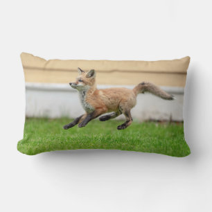 Coussin Rectangle Trousse Red Fox dans la vallée de l'Hudson