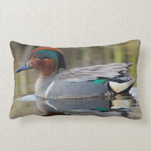 Coussin Rectangle Turquoise à ailes vertes