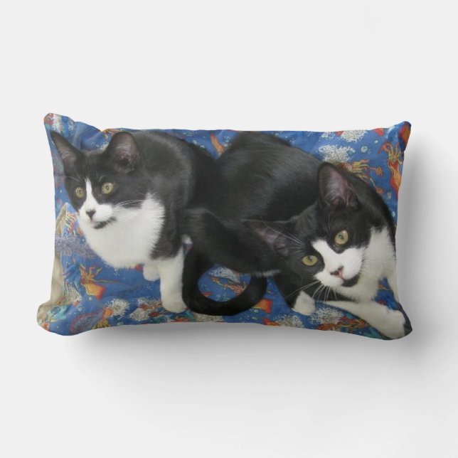 Coussin Rectangle Twin Tuxedo Kittens Jeu d'oreiller (Recto)