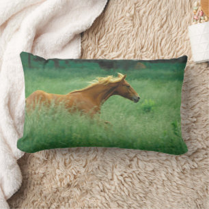 Coussin Rectangle Un Jeune Stallion Traverse Le Milieu