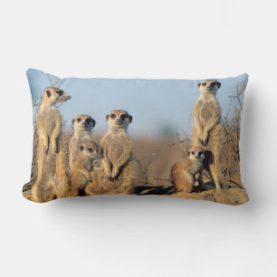 Coussin Rectangle Une famille de suricates se chauffant au soleil à 