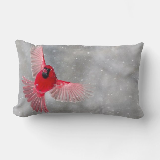 Coussin Rectangle USA, Indiana, Indianapolis. Un cardinal masculin (Recto)