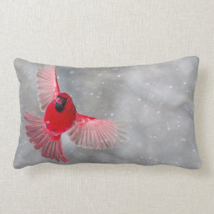 Coussin Rectangle USA, Indiana, Indianapolis. Un cardinal masculin