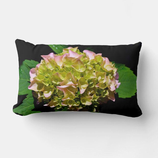 Coussin Rectangle Vert jaune rose Hydrangea rose fleur jaune rose (Recto)