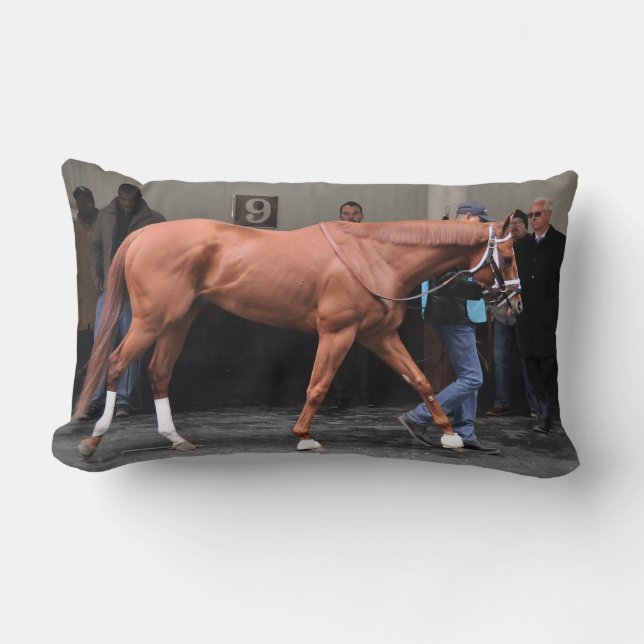 Coussin Rectangle Vin Rosso - Todd Pletcher (Recto)