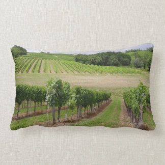 Coussin Rectangle Vineyard - Vignoble (Bordeaux - France) 03
