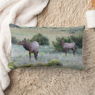 Coussin Rectangle Wapiti d'Amérique   Colorado