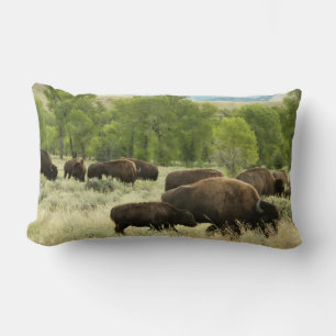 Coussin Rectangle Wyoming Bison Nature Animal Photographie