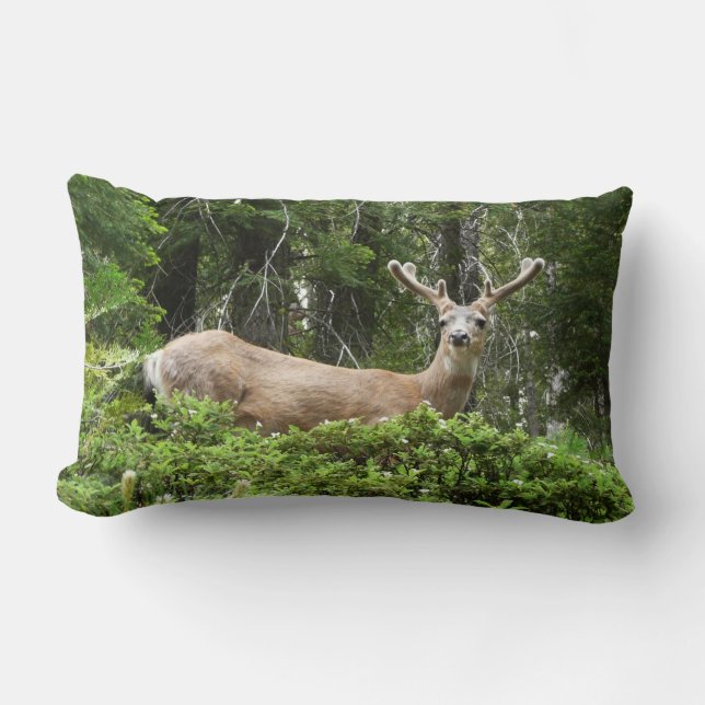 Coussin Rectangle Yosemite Deer Nature Photographie (Recto)
