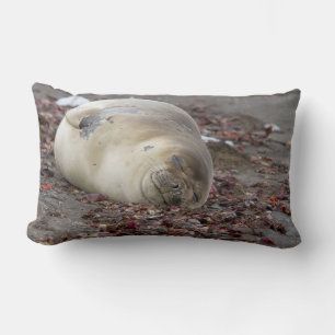 Coussin Rectangle Young