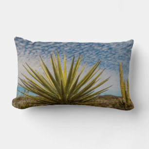 Coussin Rectangle Yucca dans le désert, Mexique