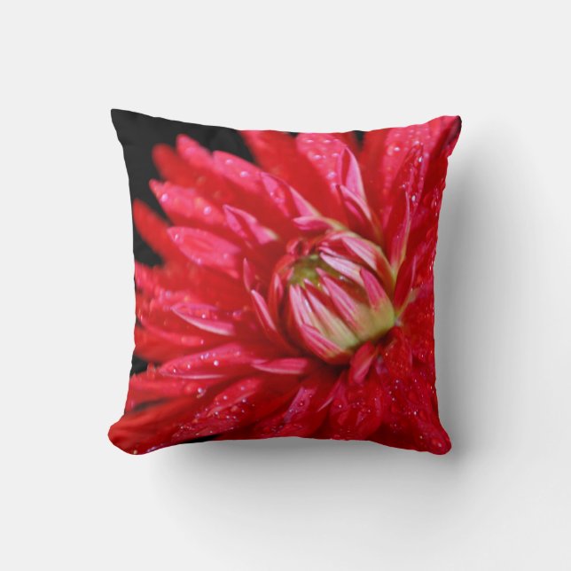 Coussin Red Cactus Dahlia (Recto)