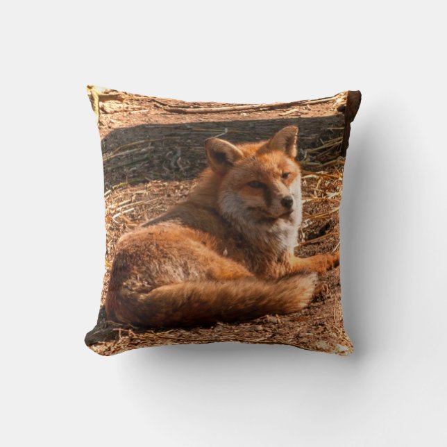 Coussin Red Fox Wild Animal Photo (Recto)