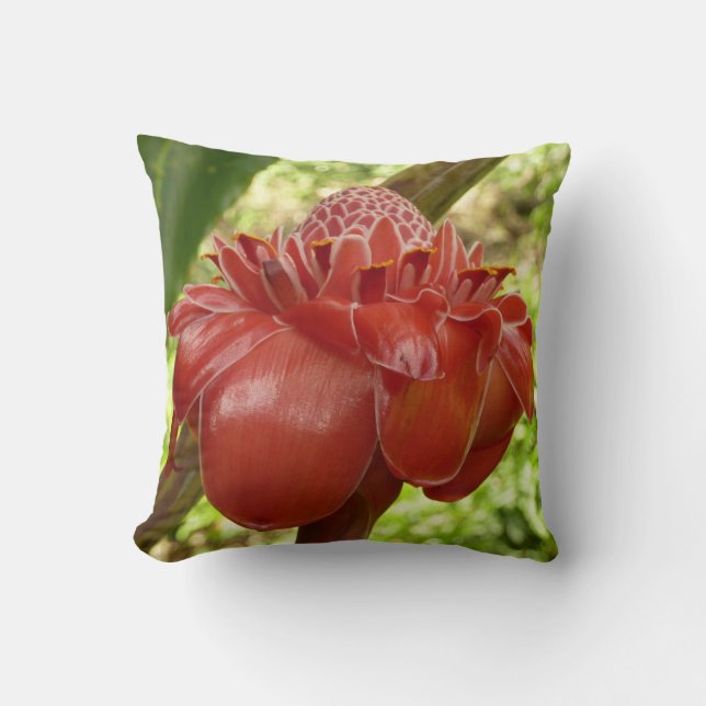 Coussin Red Torch Ginger Tropical Flower Photographie (Recto)