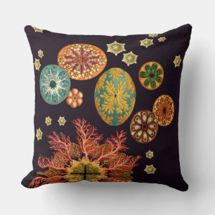 Coussin Remix d'écureuil marin