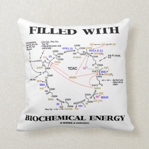 Coussin Rempli de l'énergie biochimique (cycle de Krebs)