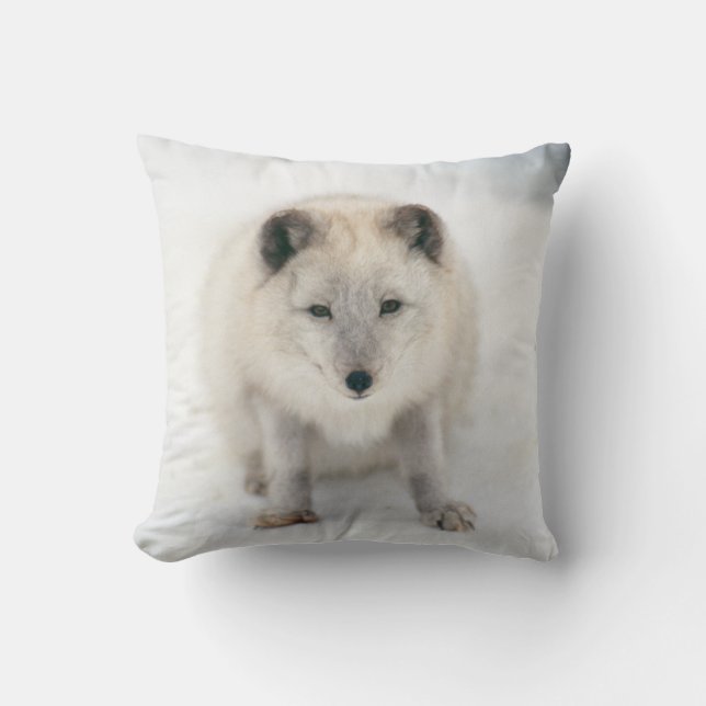 Coussin Renard arctique (Recto)