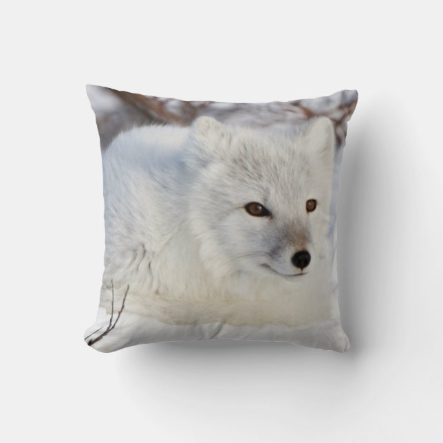 Coussin Renard arctique en hiver (Recto)