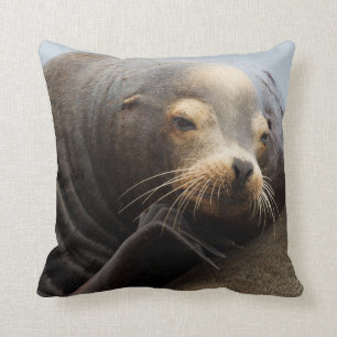 Coussin Repos de Lion de la mer de Californie