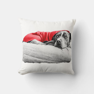 Coussin Repos d'octobre