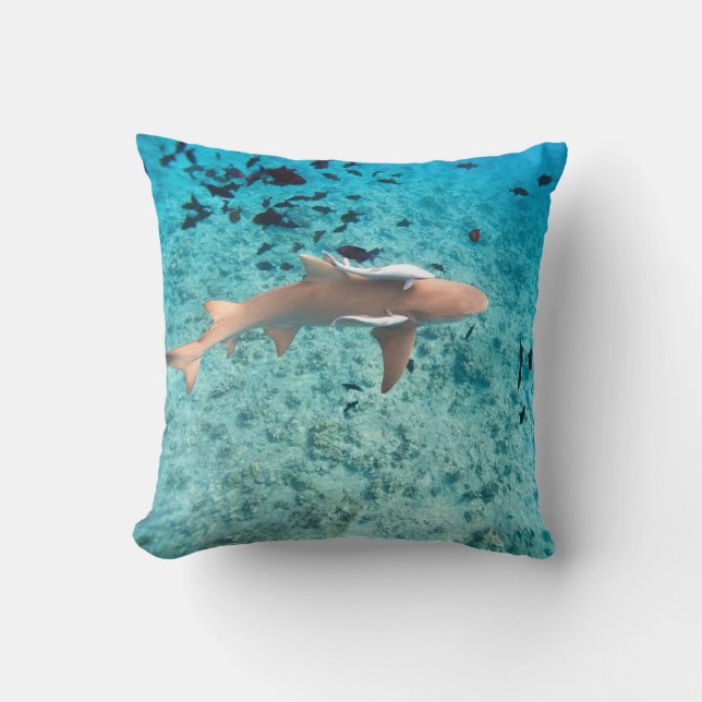 Coussin Requin avec bébés requins (Recto)