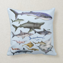 Requins du monde