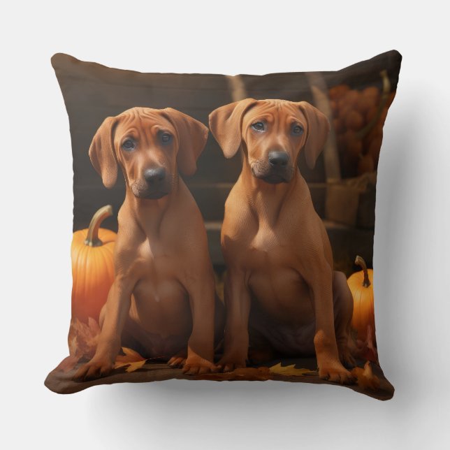 Coussin Rhodesian Ridgeback Chiot Automne Citrouille délic (Recto)
