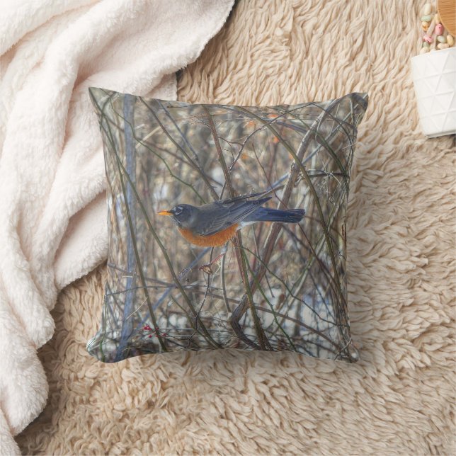 Coussin Robin américain (Couverture)