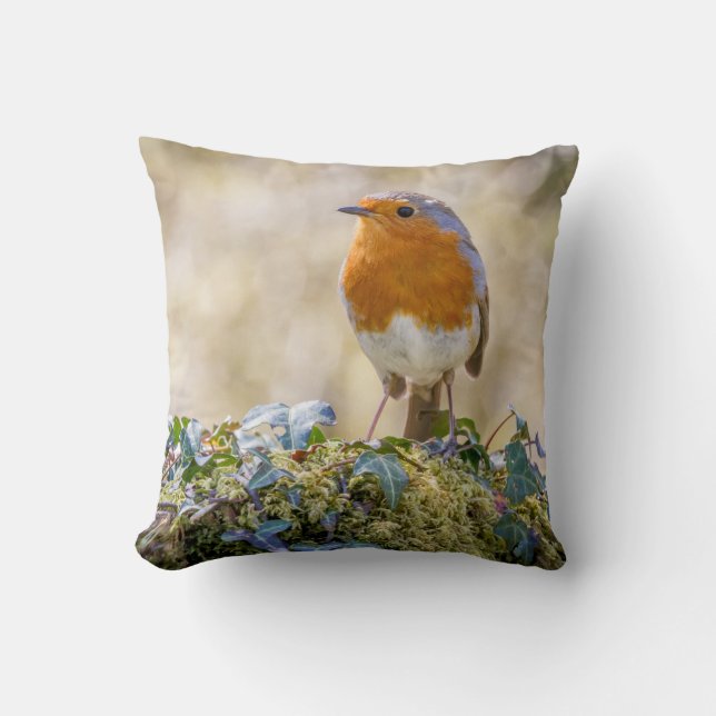 Coussin Robin avec deux belles photos (Recto)