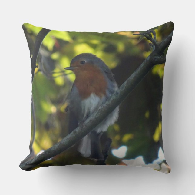 Coussin Robin mignon dans l'oreiller à lancer d'arbre (Recto)
