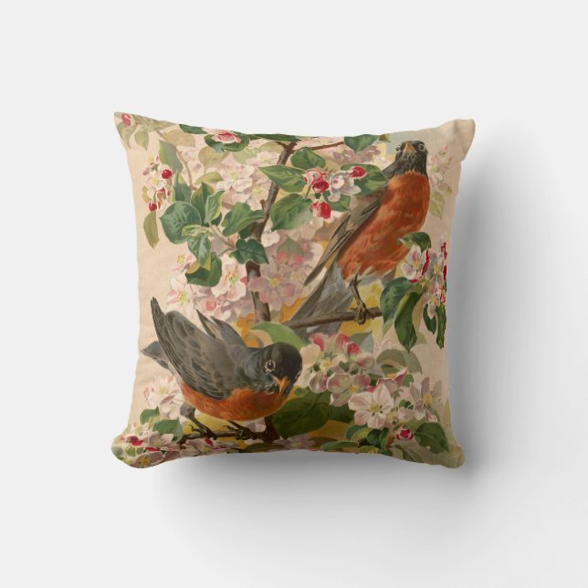Coussin Robins 1896 (Recto)