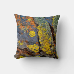 Coussin Roches couvertes de lichen