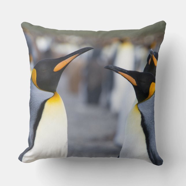 Coussin Roi Pingouin (Recto)