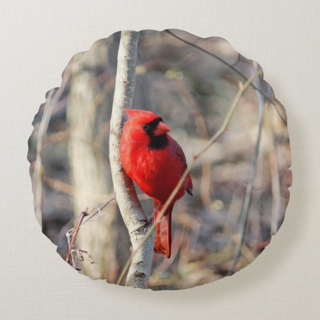 Coussin rond cardinal mignon (Devant)