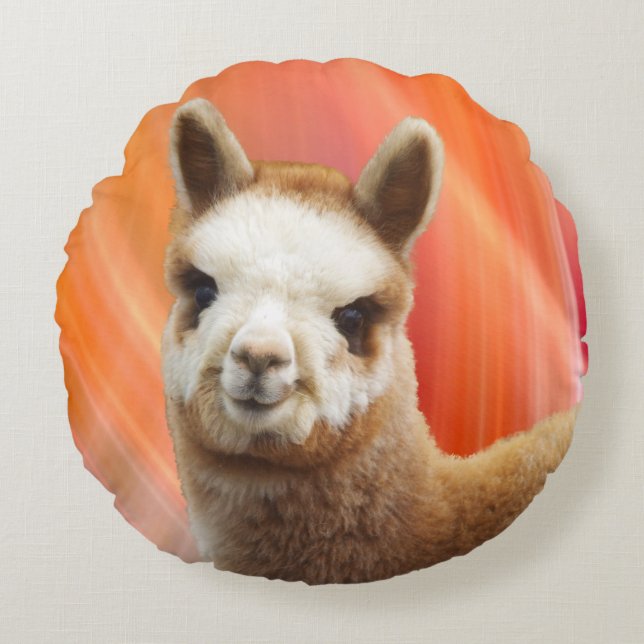 Coussin rond d'alpaga mignon (Devant)