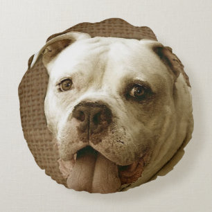 Coussin rond de bouledogue américain