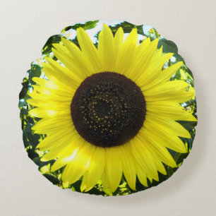 Coussin rond de la sensation de tournesol