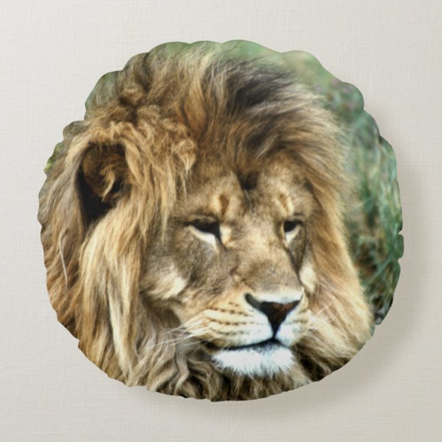 Coussin rond de lion africain (Devant)