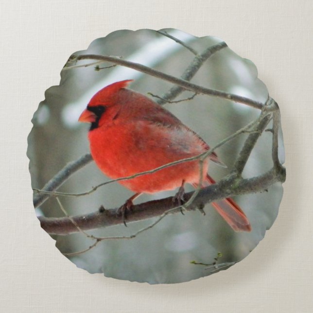 Coussin rond du cardinal rouge (hiver) (Devant)