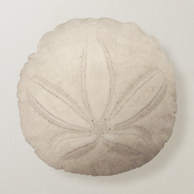 Coussin rond du dollar de sable (Devant)