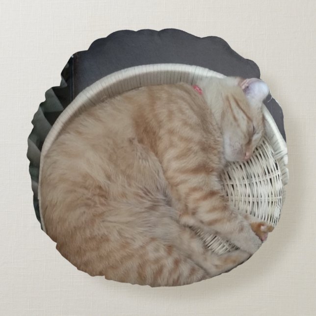 Coussin rond Ginger Cat (Devant)