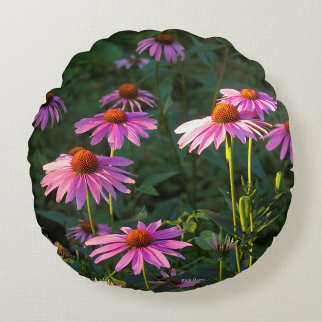 Coussin rond rose Daises (Devant)