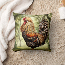 Rooster de plumes sauvages colorées