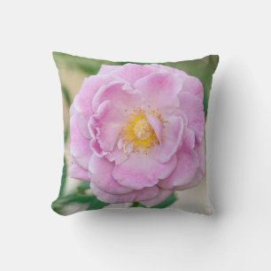 Coussin Rose