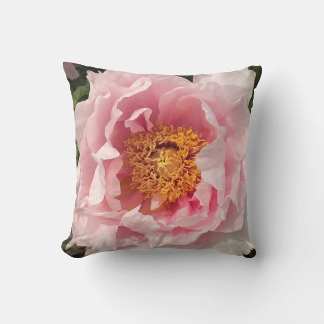 Coussin rose-clair de pivoine (Recto)