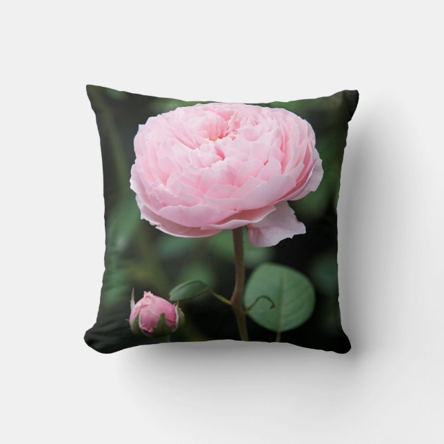 Coussin Rose du château d'Alnwick (Recto)