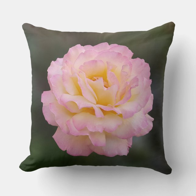 Coussin rose rose (Recto)
